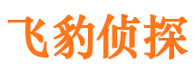 平桥侦探公司